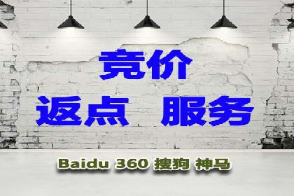 社交平台信息流竞价广告的投放策略与效果